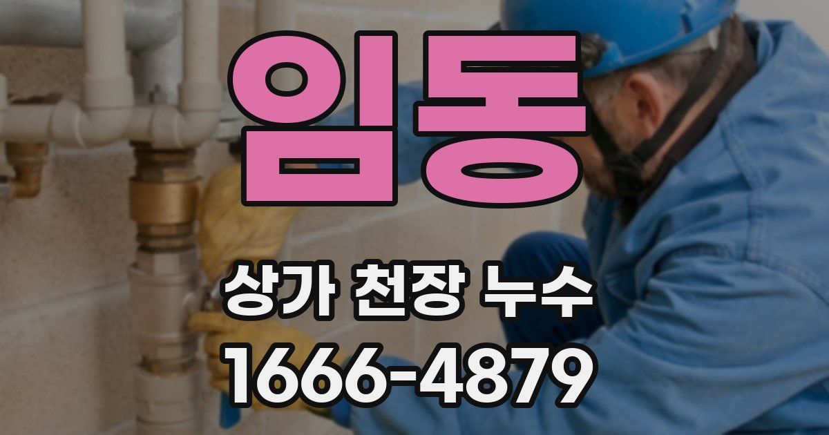 임동 상가 천장 누수