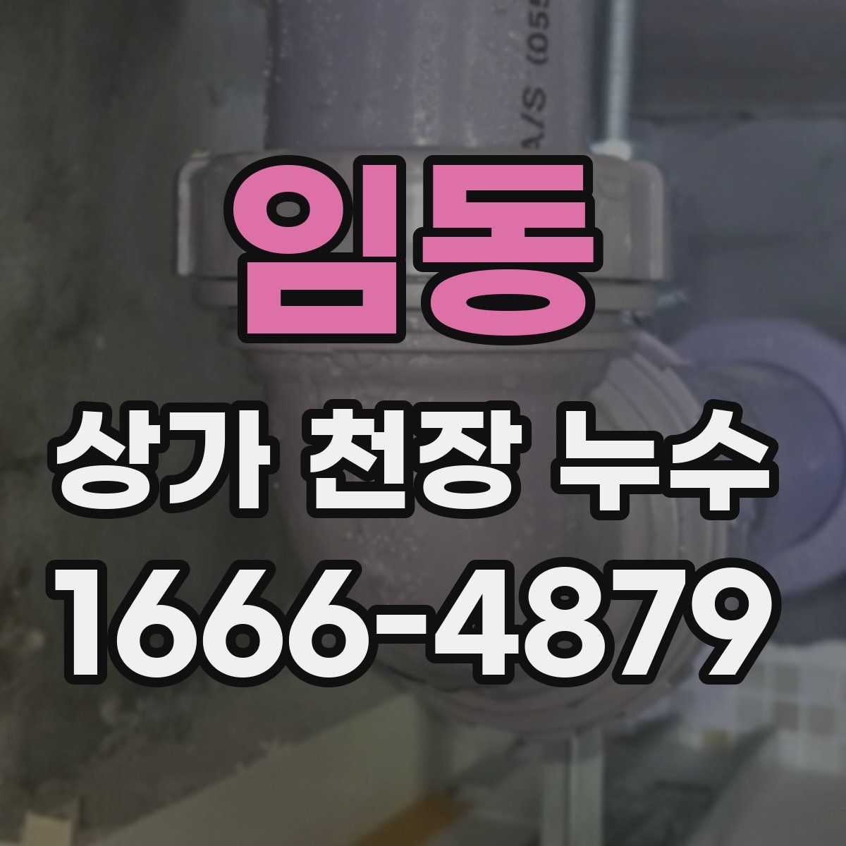 임동 상가 천장 누수
