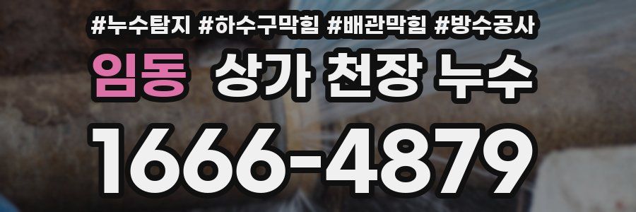 임동 상가 천장 누수
