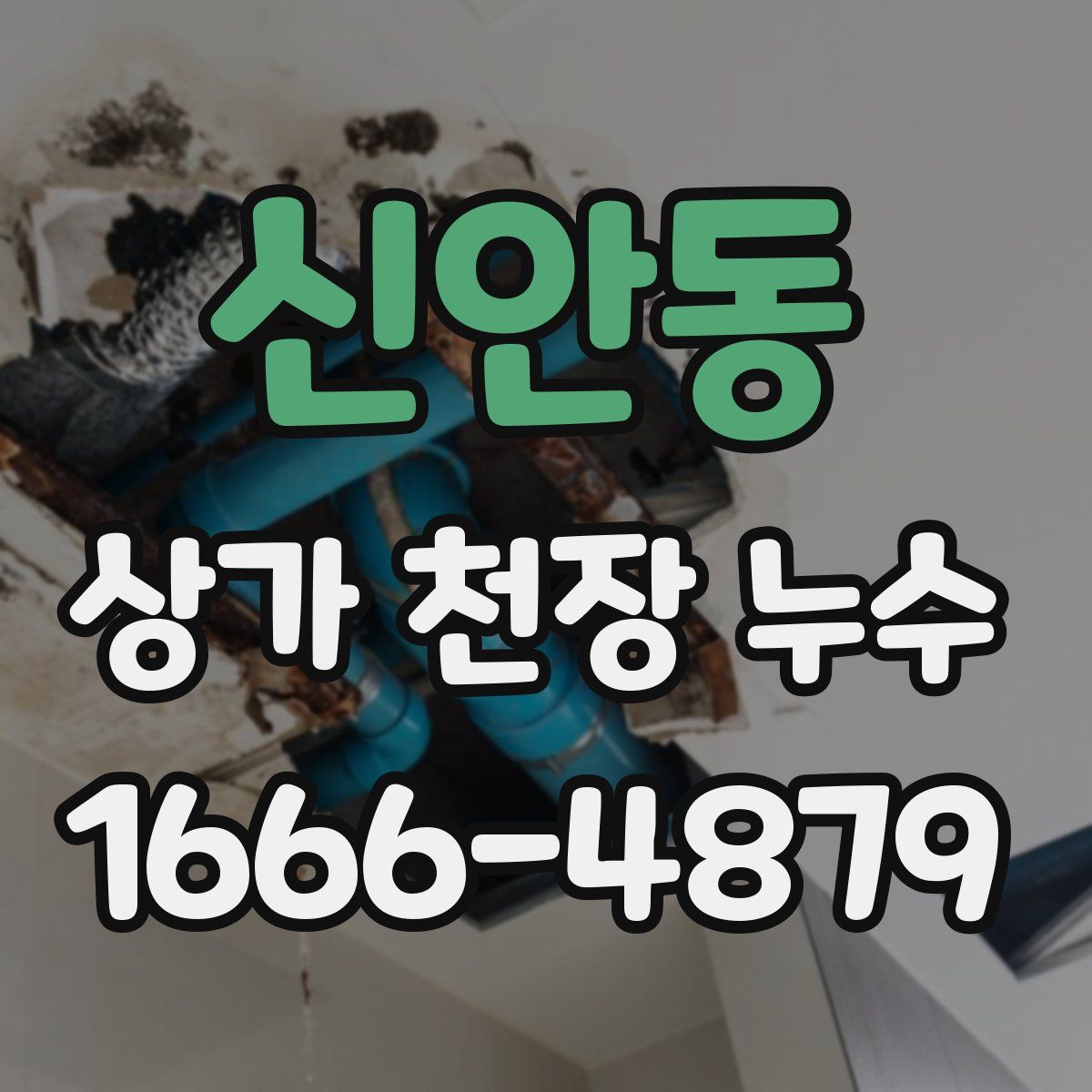 신안동 상가 천장 누수