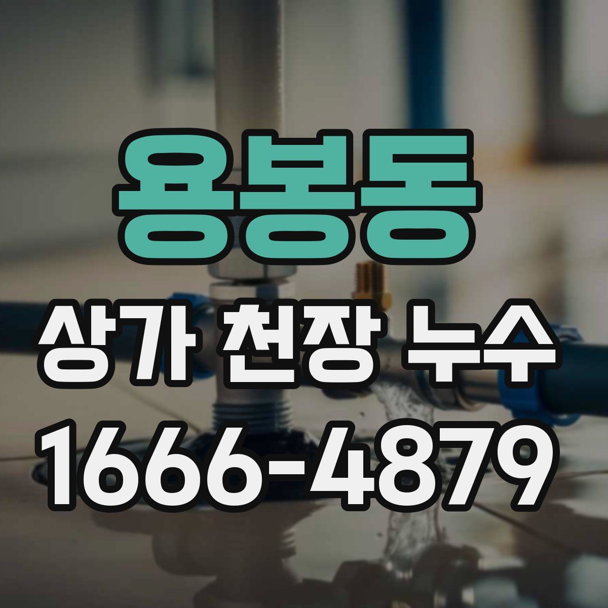 용봉동 상가 천장 누수