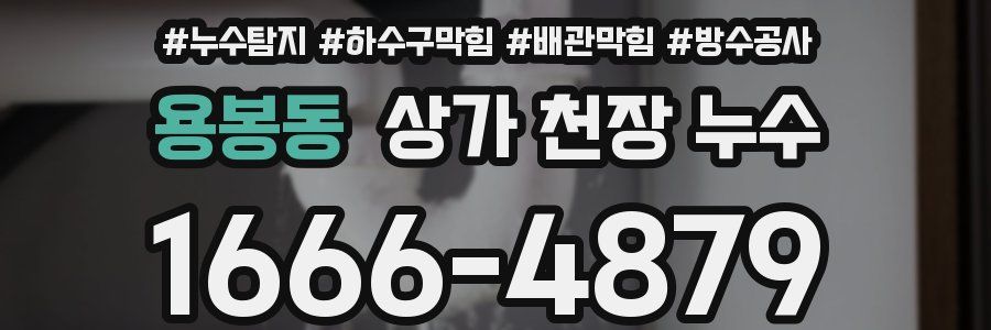 용봉동 상가 천장 누수