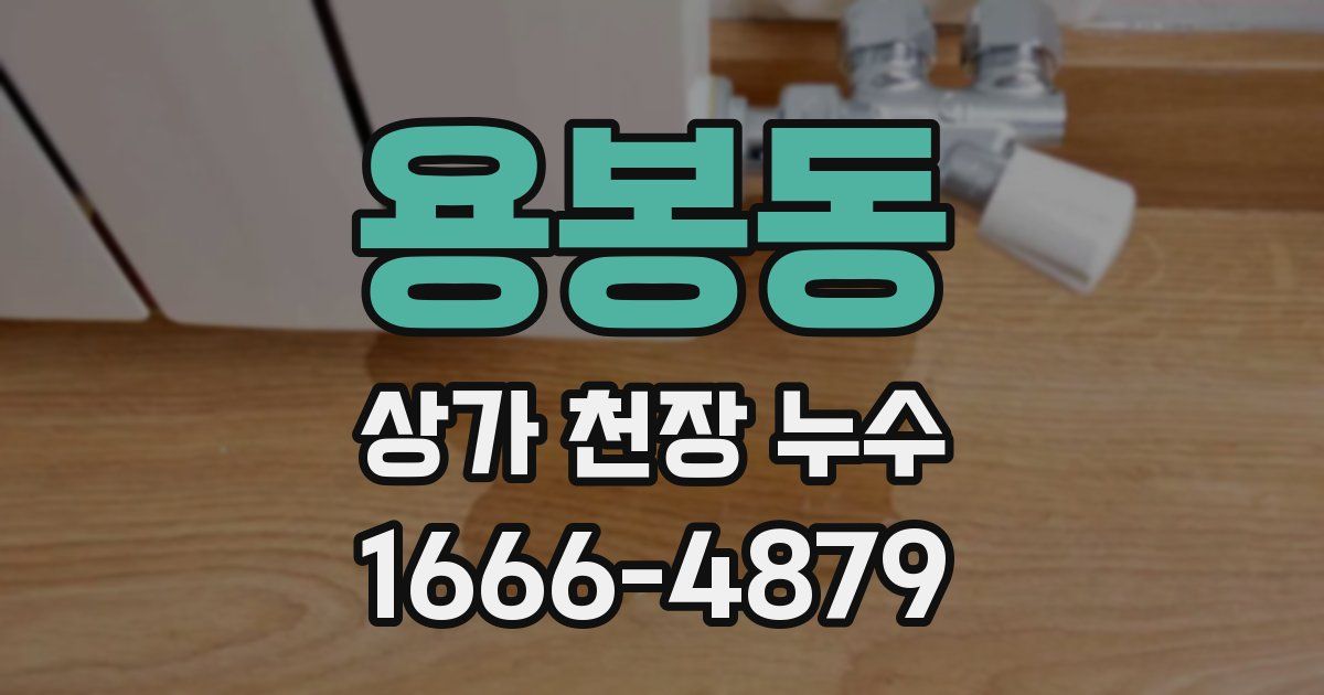 용봉동 상가 천장 누수