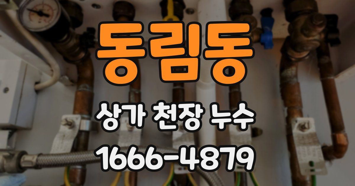 동림동 상가 천장 누수
