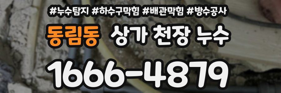 동림동 상가 천장 누수