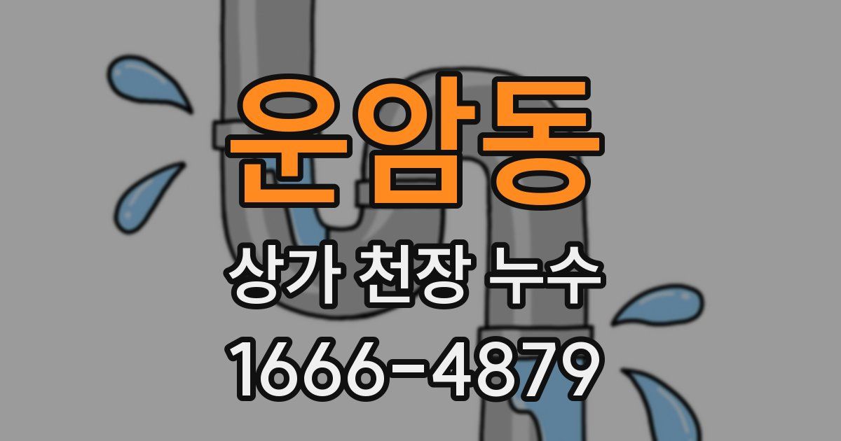 운암동 상가 천장 누수