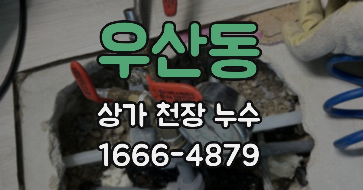 우산동 상가 천장 누수