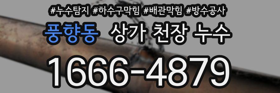 풍향동 상가 천장 누수
