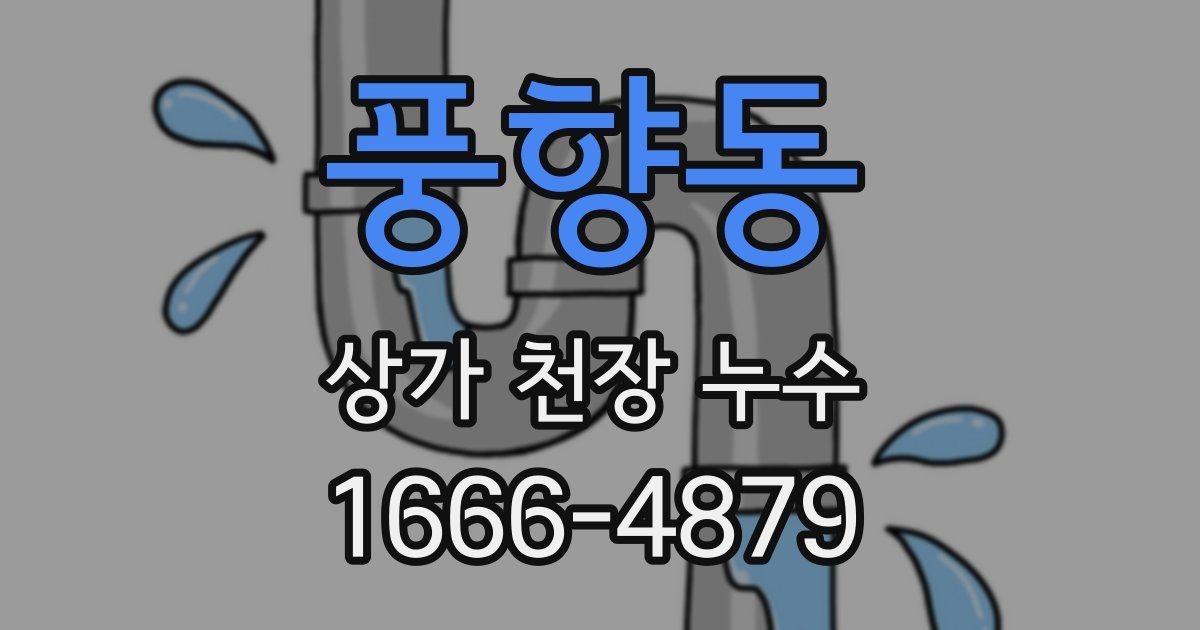 풍향동 상가 천장 누수