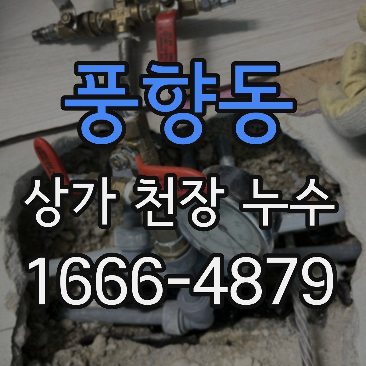 풍향동 상가 천장 누수