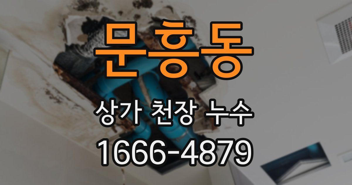 문흥동 상가 천장 누수