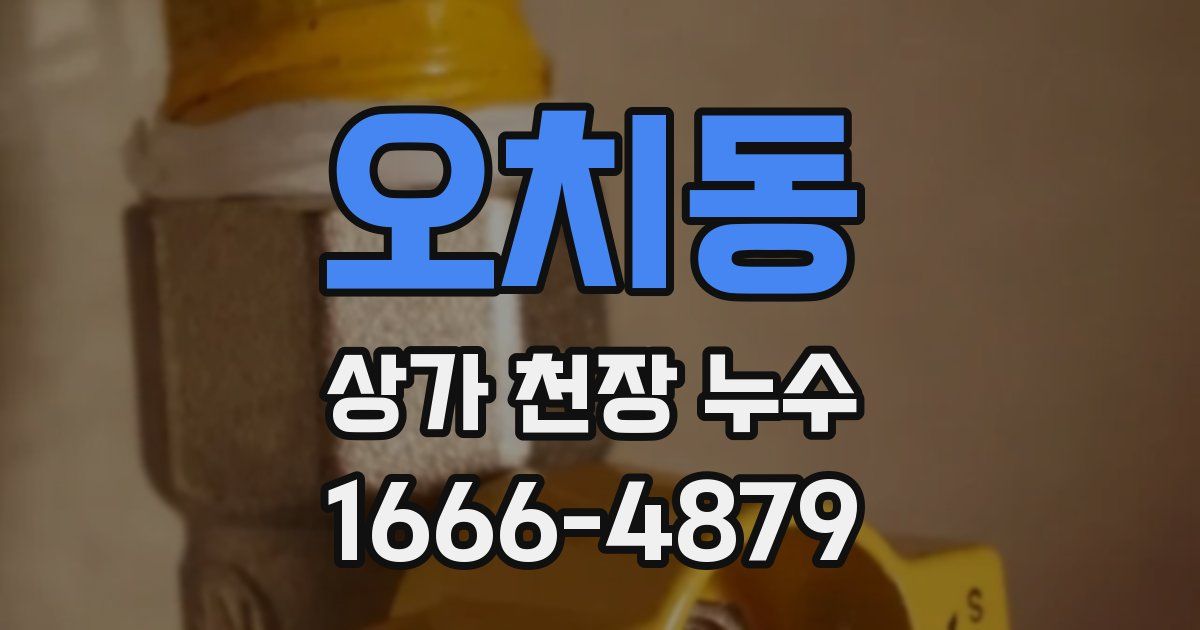 오치동 상가 천장 누수