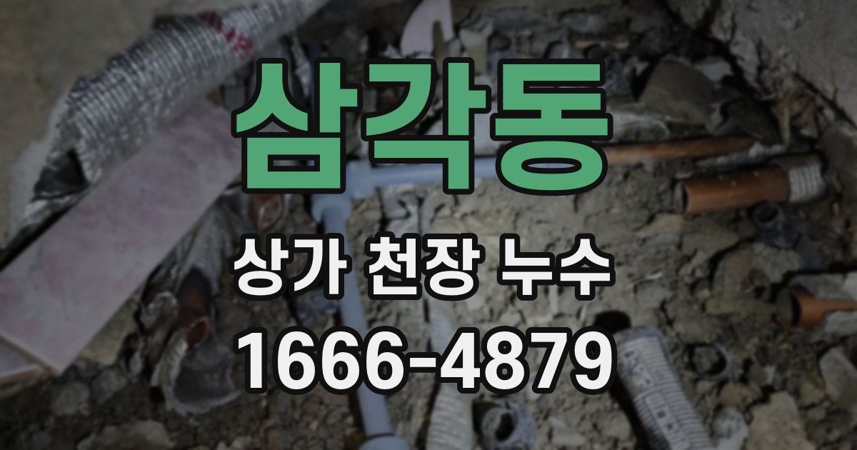 삼각동 상가 천장 누수