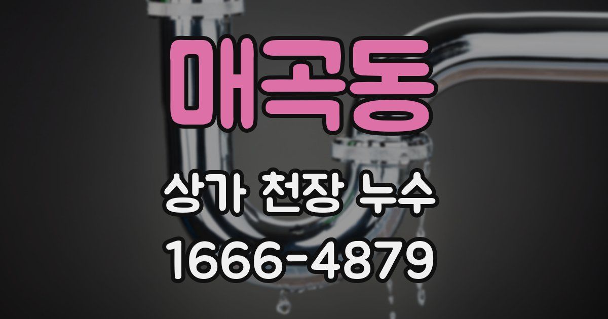 매곡동 상가 천장 누수