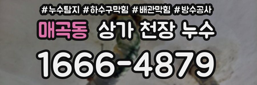 매곡동 상가 천장 누수