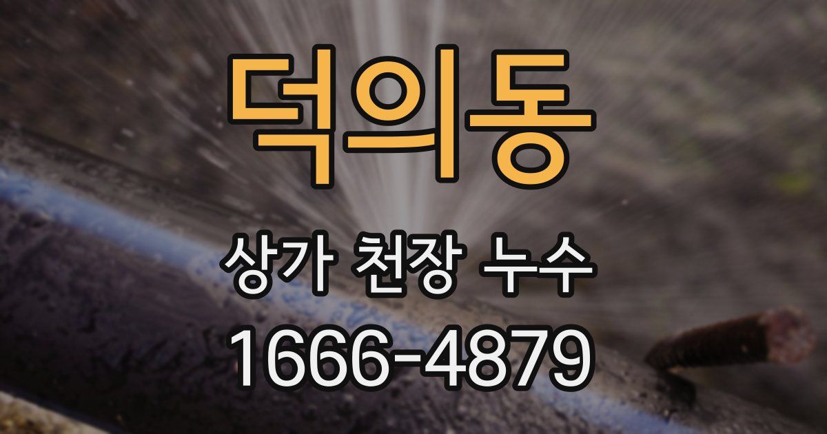 덕의동 상가 천장 누수