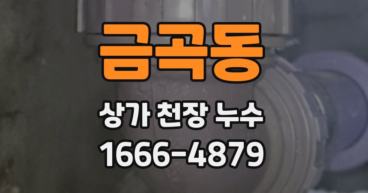 금곡동 상가 천장 누수