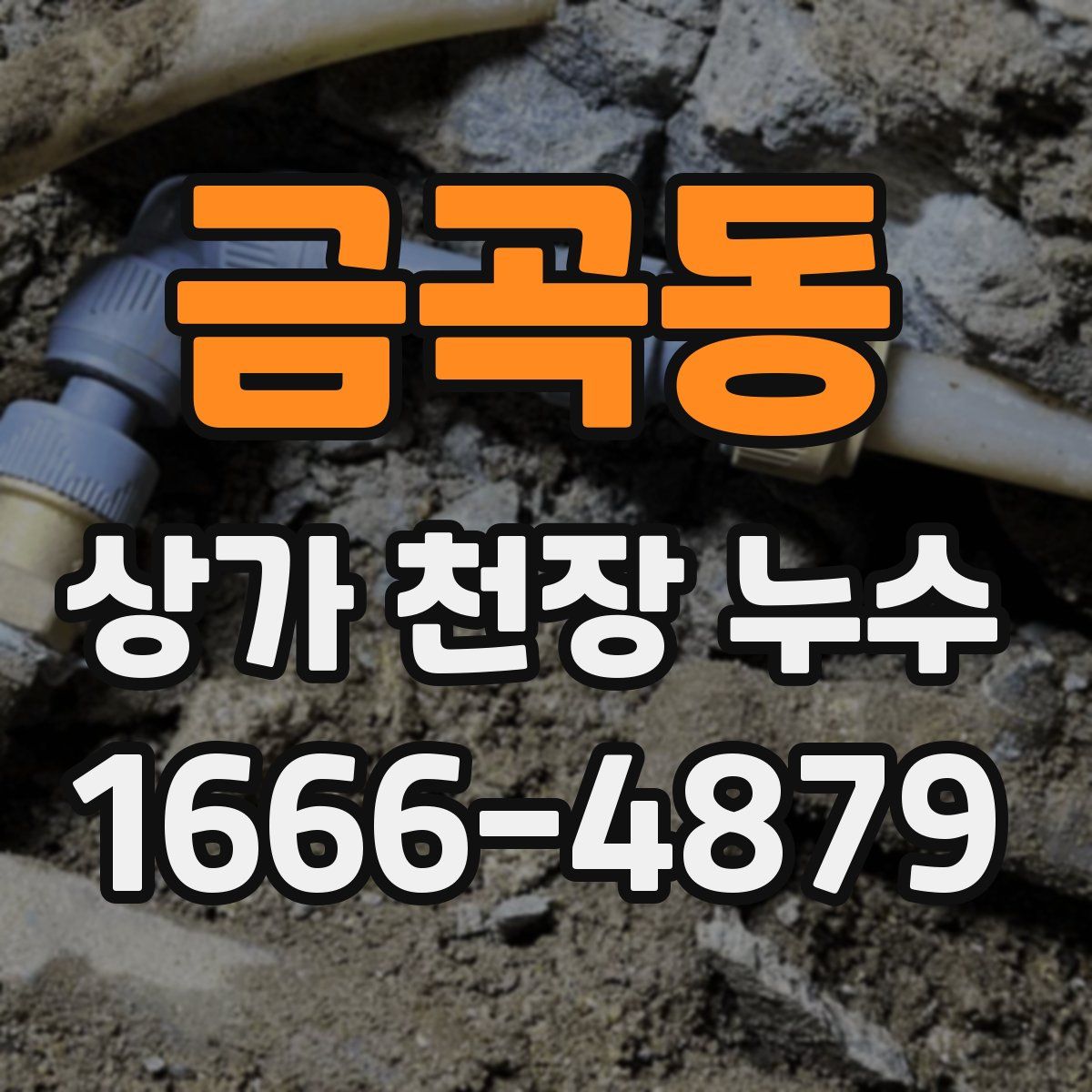금곡동 상가 천장 누수