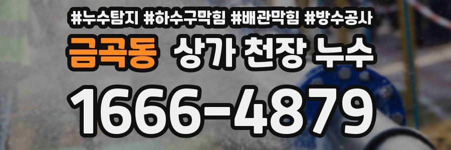 금곡동 상가 천장 누수