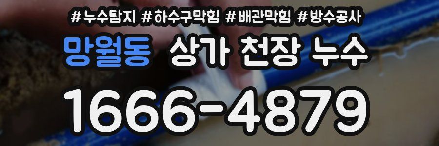 망월동 상가 천장 누수