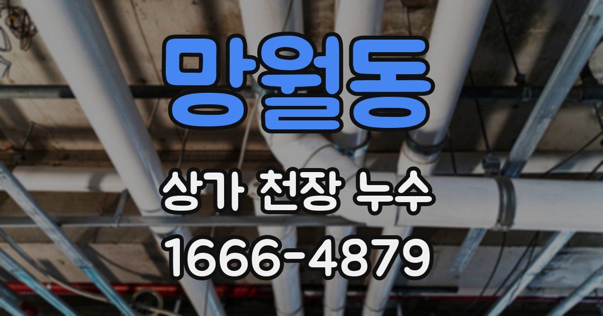 망월동 상가 천장 누수