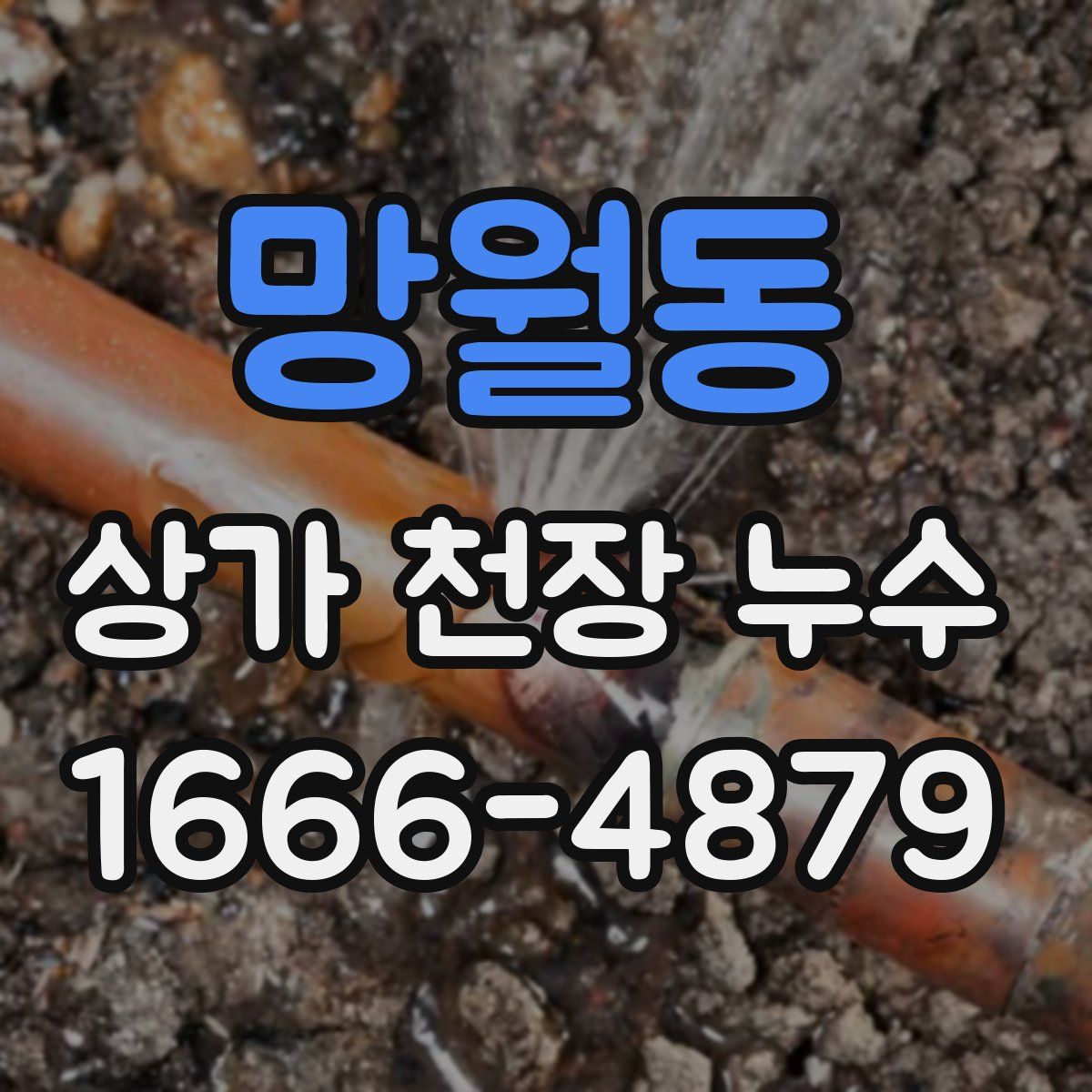 망월동 상가 천장 누수