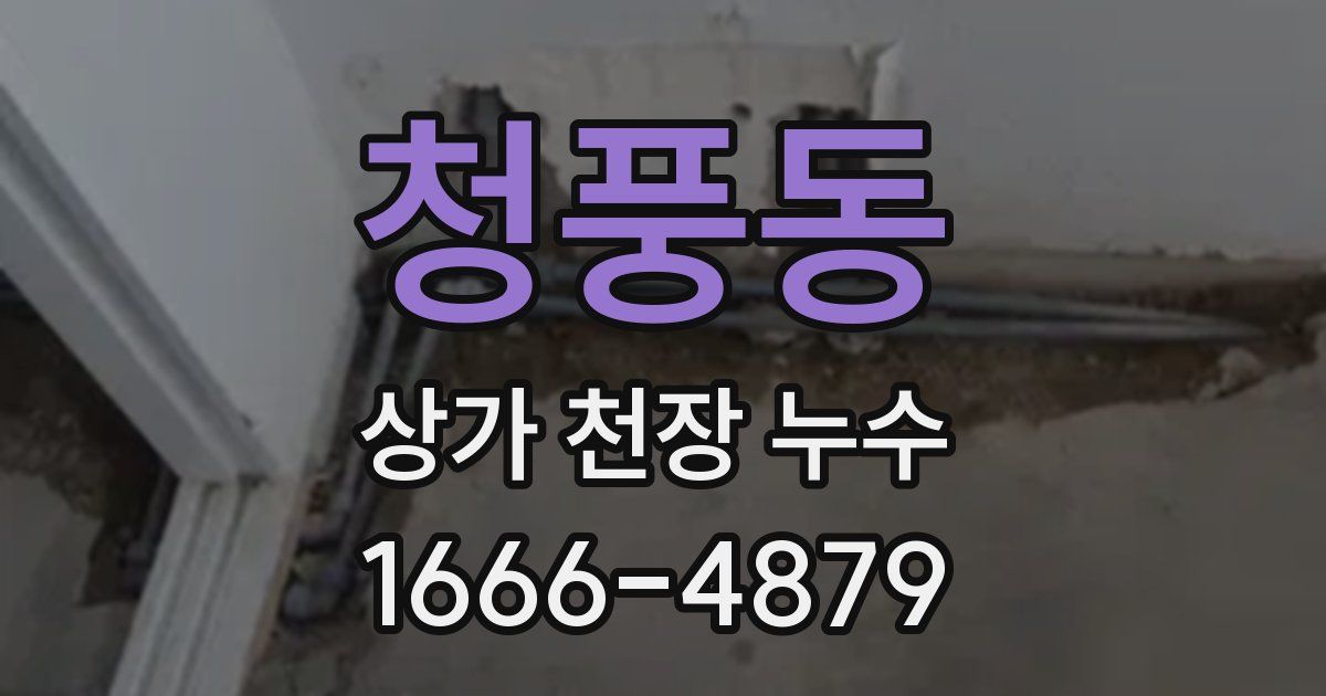 청풍동 상가 천장 누수