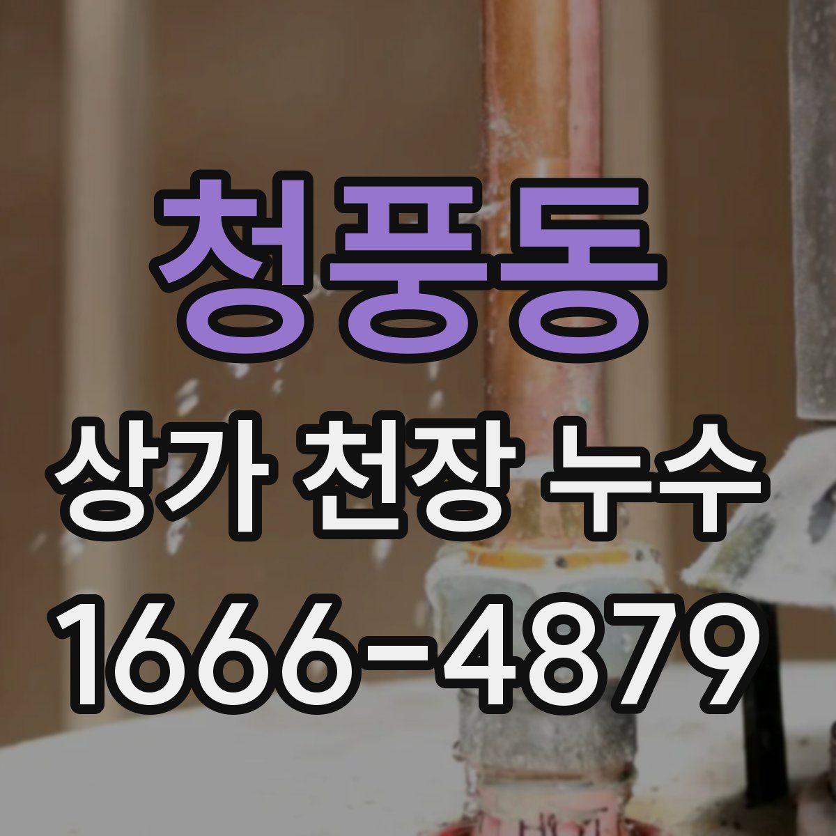 청풍동 상가 천장 누수