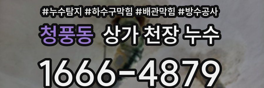 청풍동 상가 천장 누수