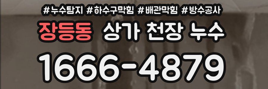 장등동 상가 천장 누수