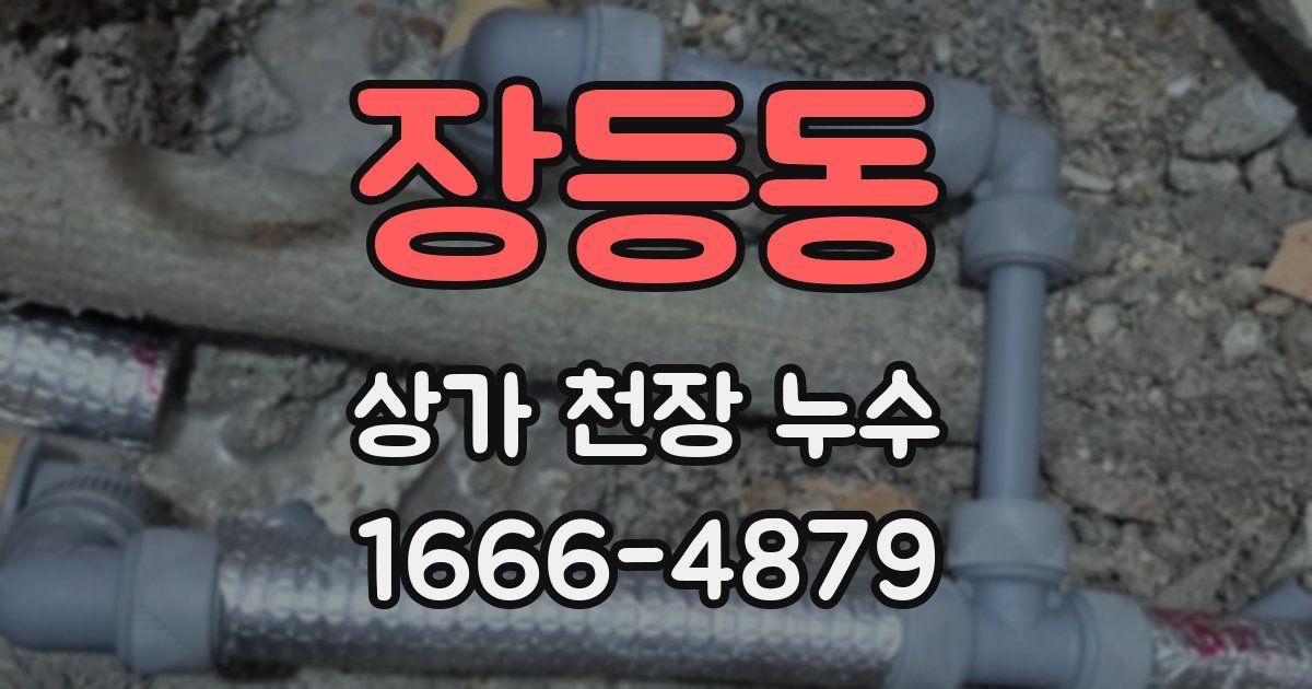 장등동 상가 천장 누수