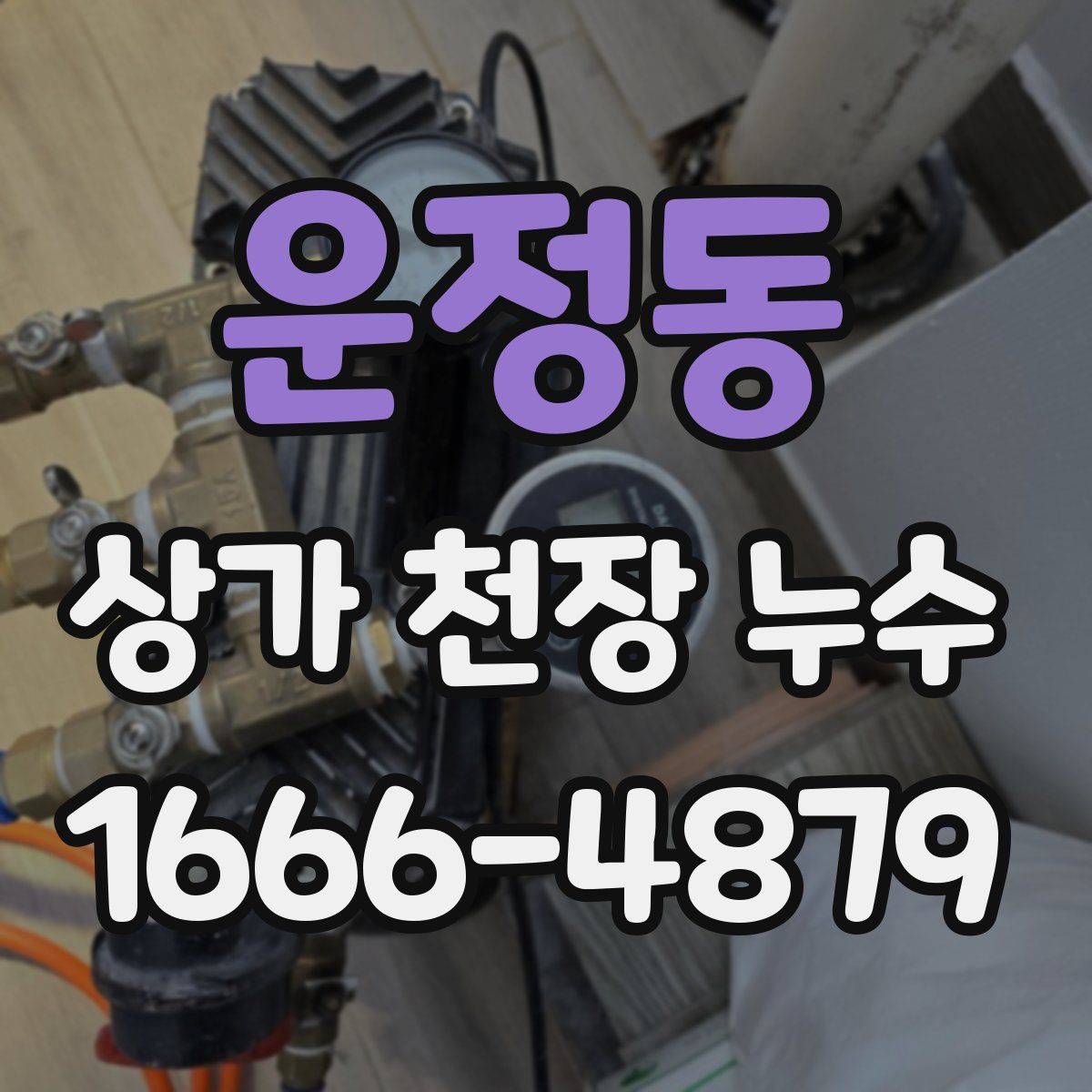 운정동 상가 천장 누수