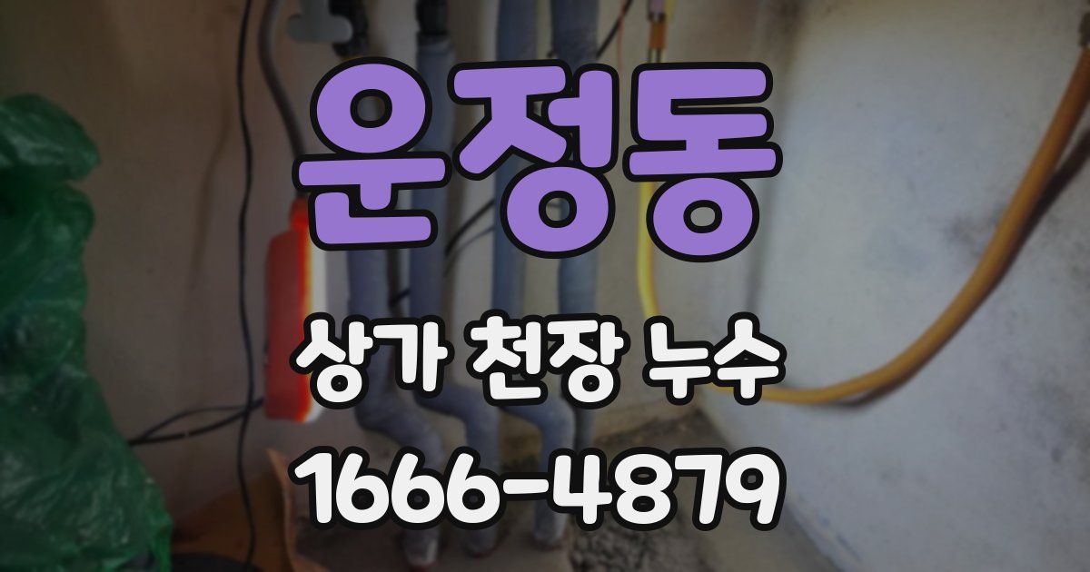 운정동 상가 천장 누수