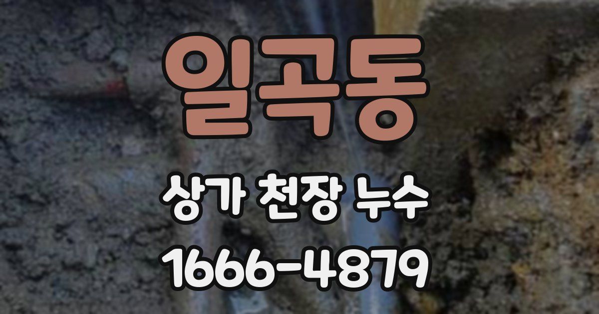 일곡동 상가 천장 누수