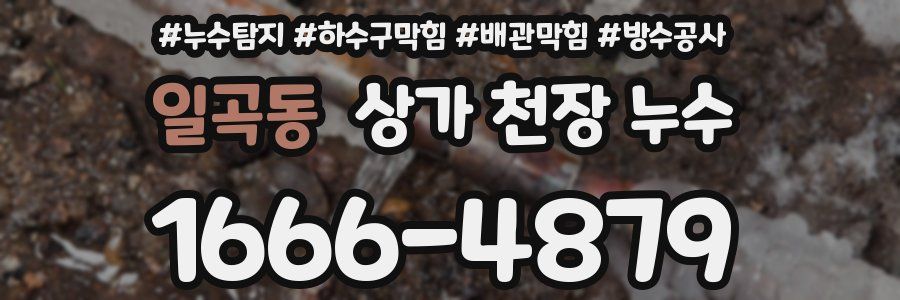 일곡동 상가 천장 누수