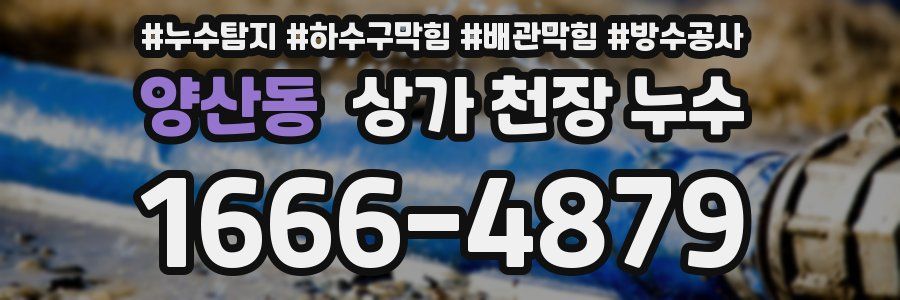 양산동 상가 천장 누수