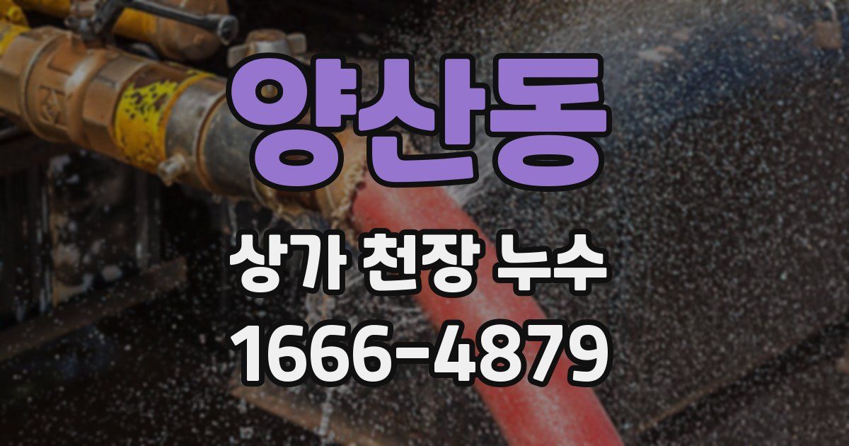 양산동 상가 천장 누수