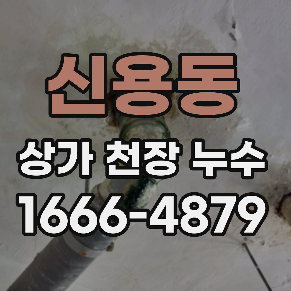 신용동 상가 천장 누수