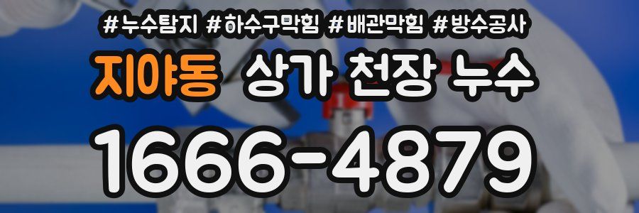지야동 상가 천장 누수