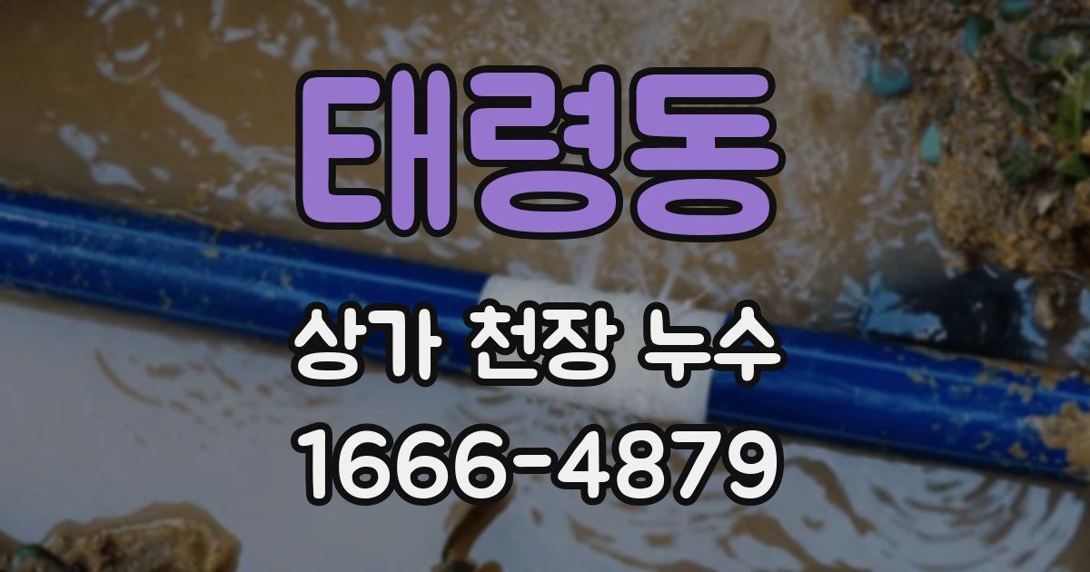 태령동 상가 천장 누수