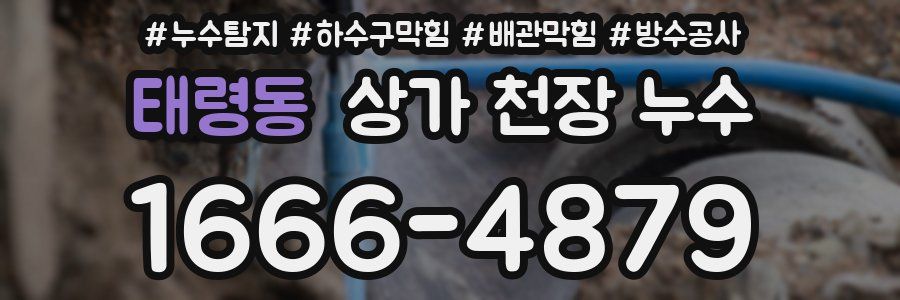 태령동 상가 천장 누수