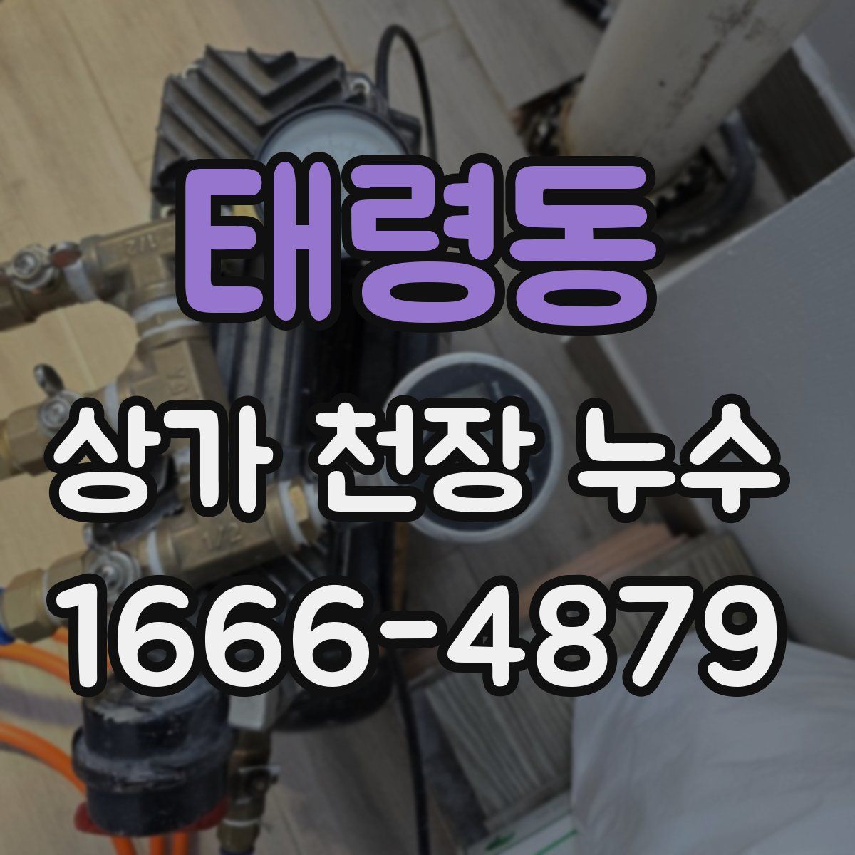 태령동 상가 천장 누수