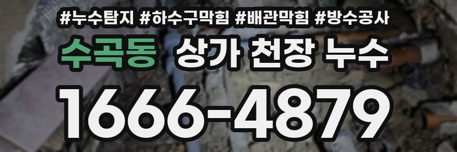 수곡동 상가 천장 누수