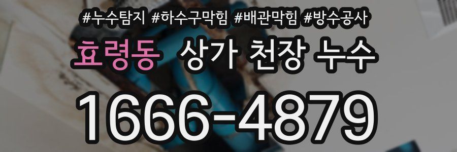 효령동 상가 천장 누수
