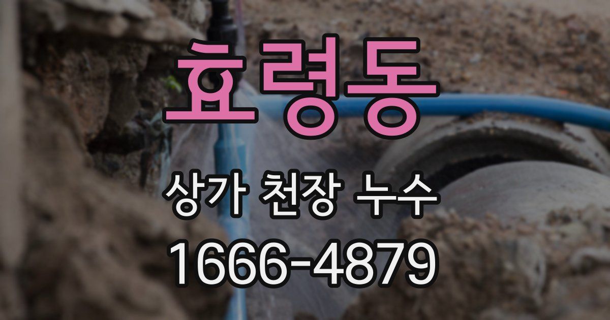 효령동 상가 천장 누수