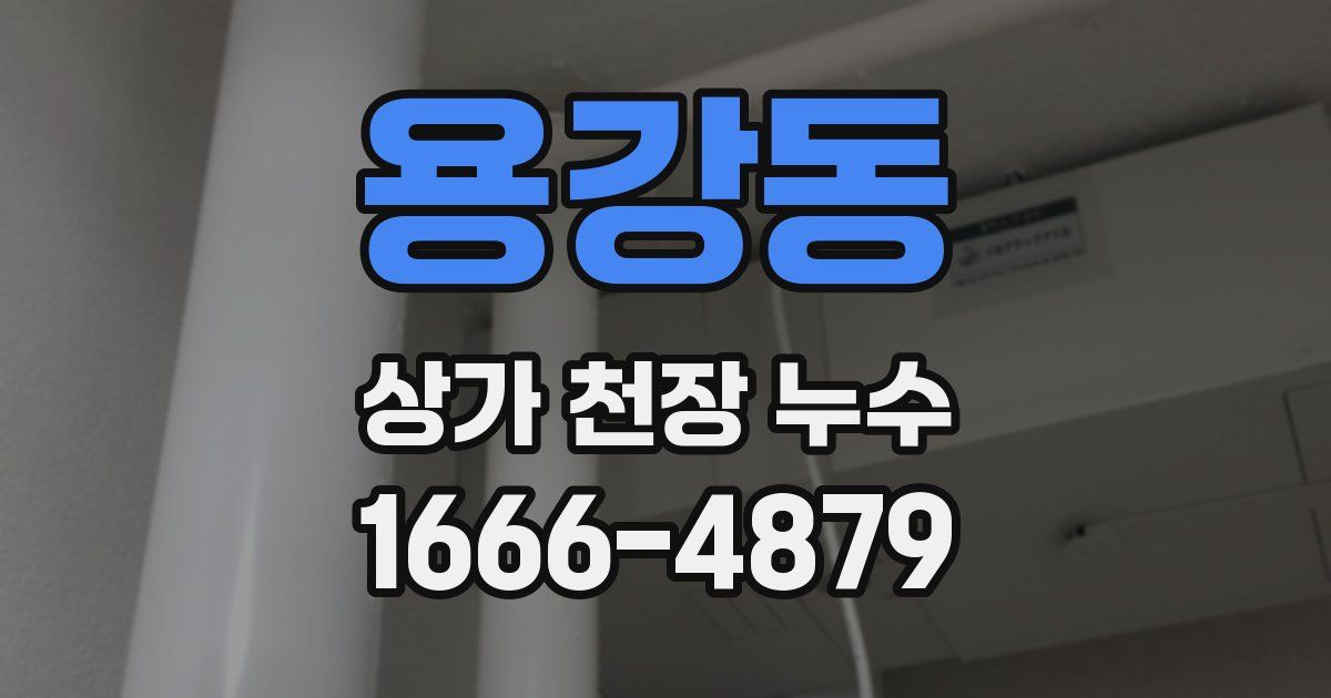 용강동 상가 천장 누수