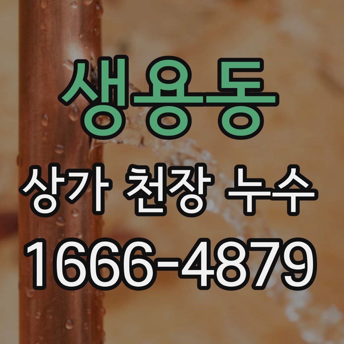생용동 상가 천장 누수