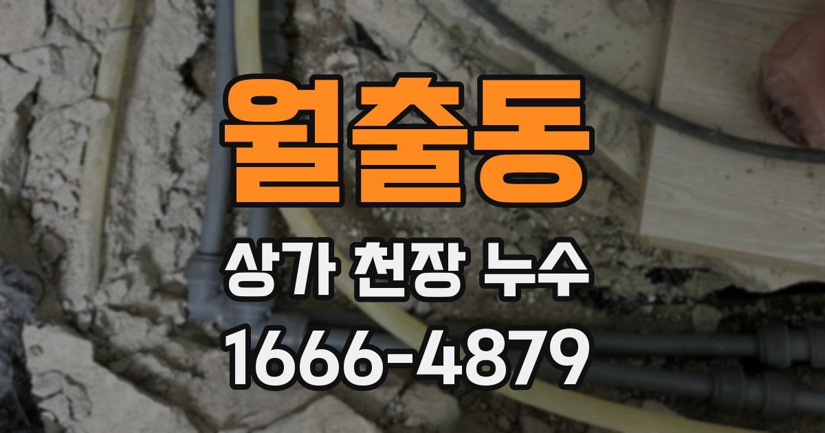 월출동 상가 천장 누수