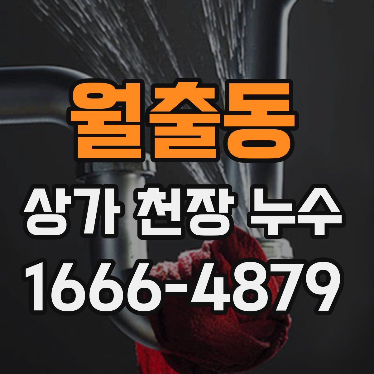 월출동 상가 천장 누수
