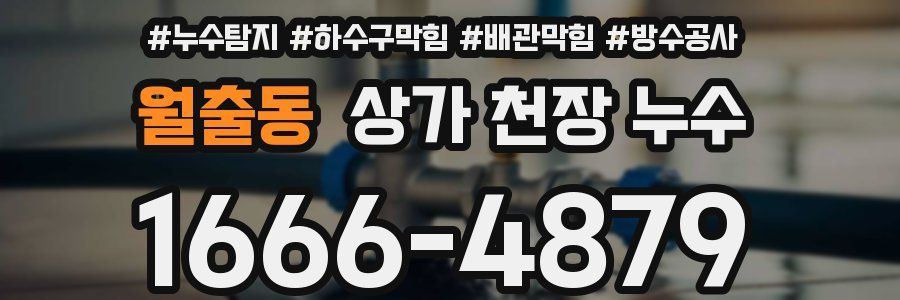 월출동 상가 천장 누수